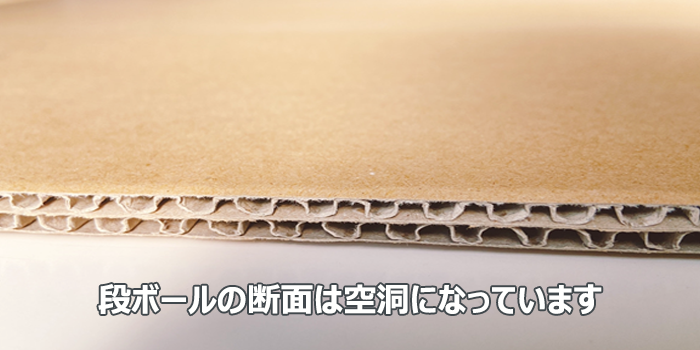段ボール　断面