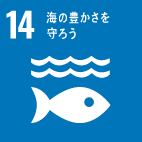 14海の豊かさを守ろう