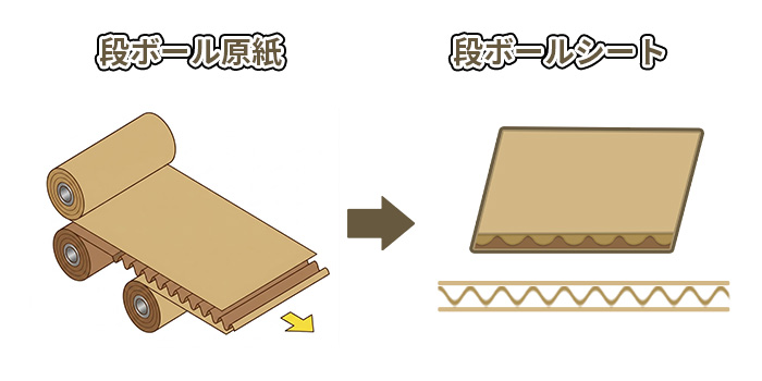 ダンボールの材質(できるまで)